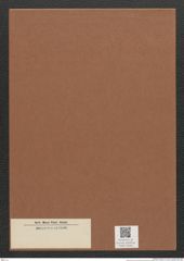 Diatomeae indet. Zeichnungen Sammlung Grunow Mappe 03461 (Herbarium_W_Grunow_drawings_Folder_03461)